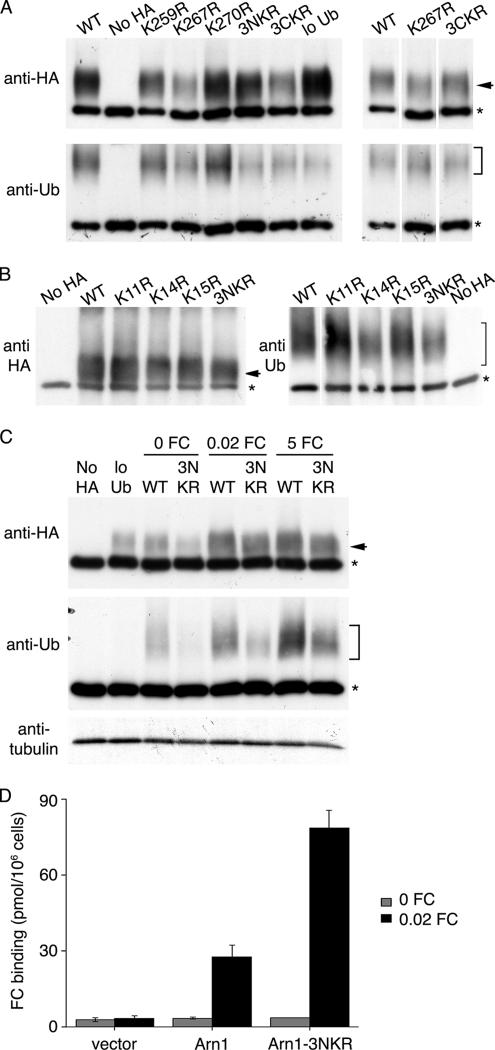 Figure 9.