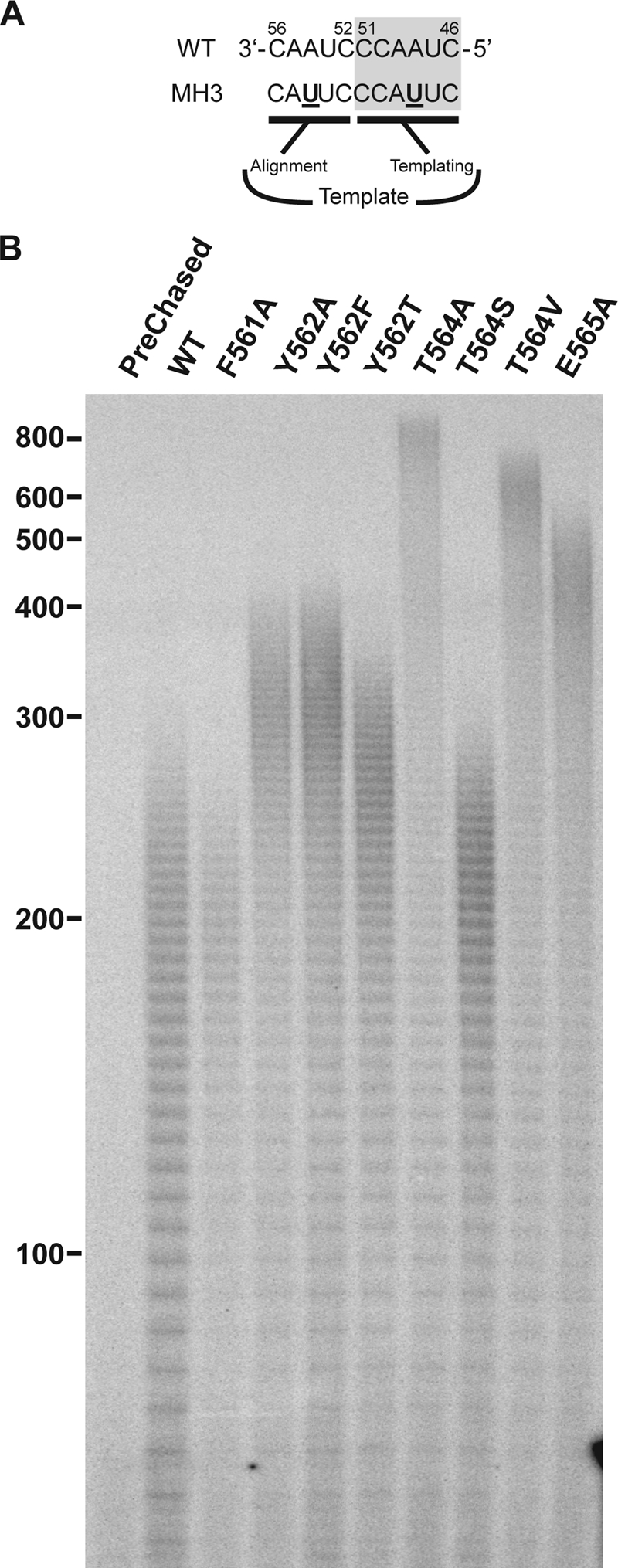 FIG. 5.