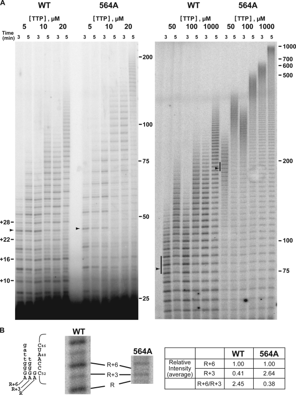 FIG. 7.