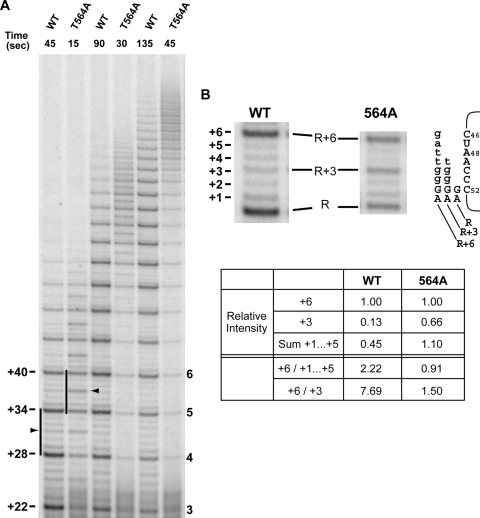 FIG. 6.