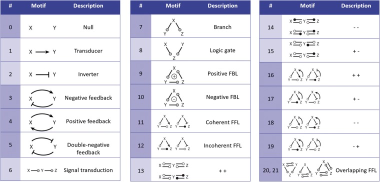 Figure 11.