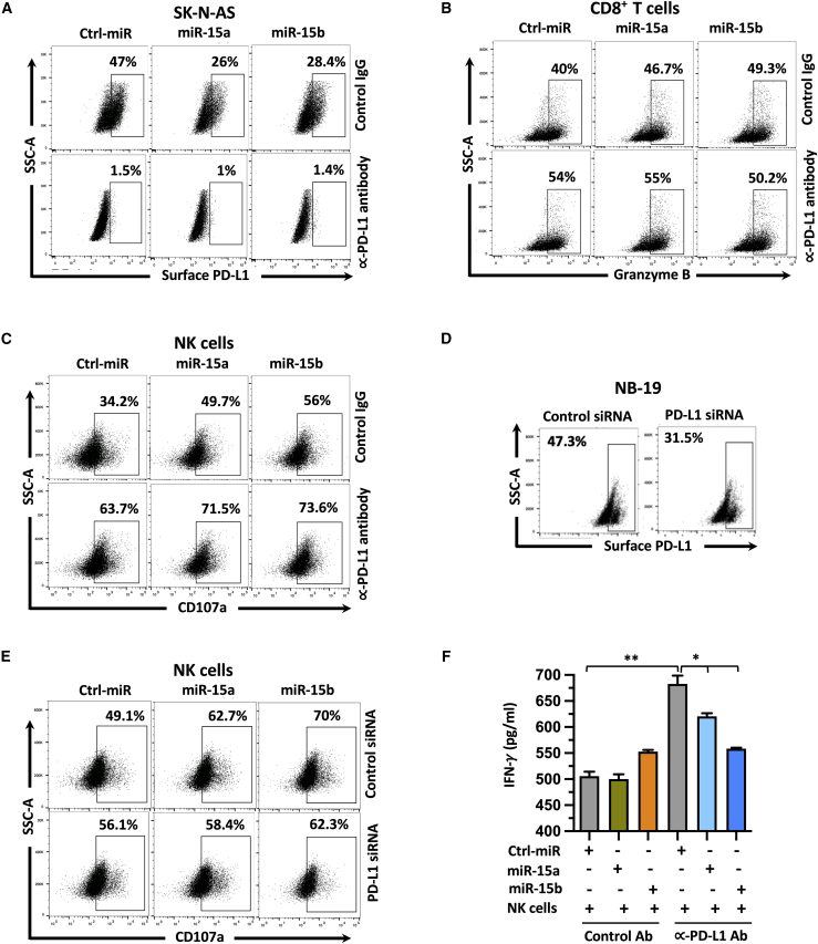 Figure 5