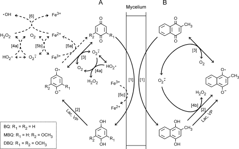 FIG. 8.