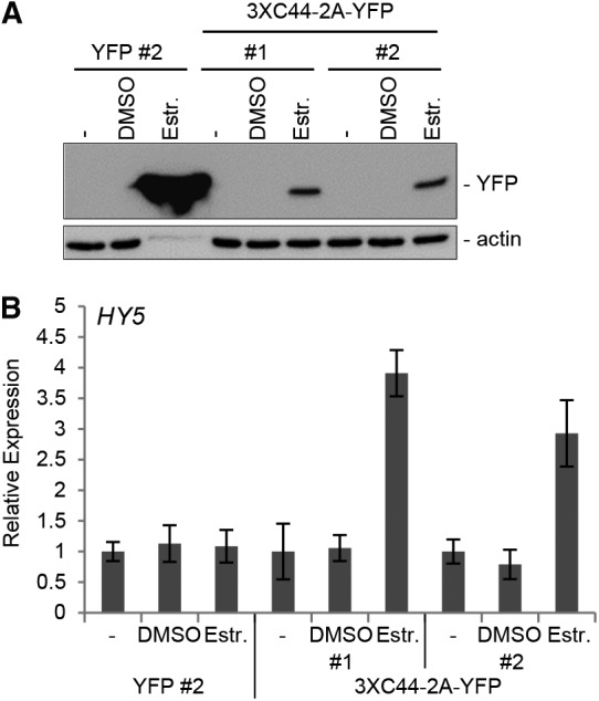 Figure 4.