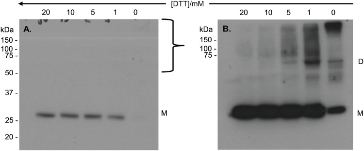 Fig 5