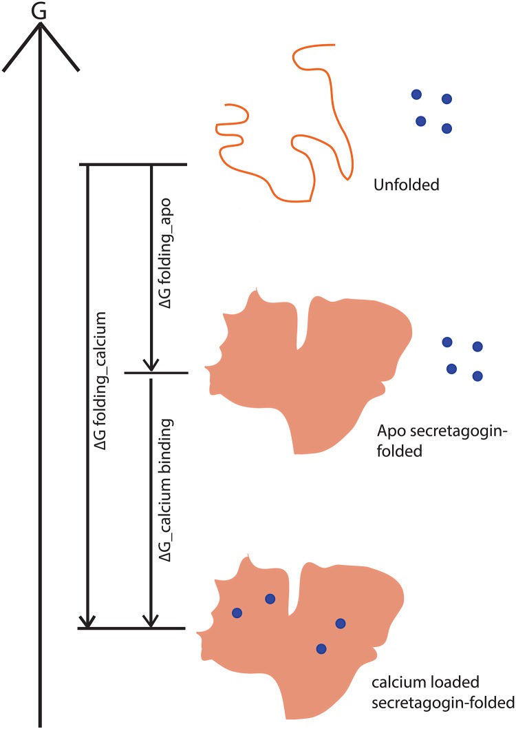 Fig 12