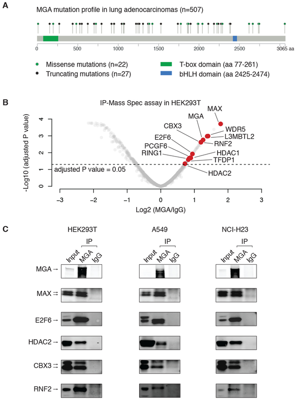 Figure 1: