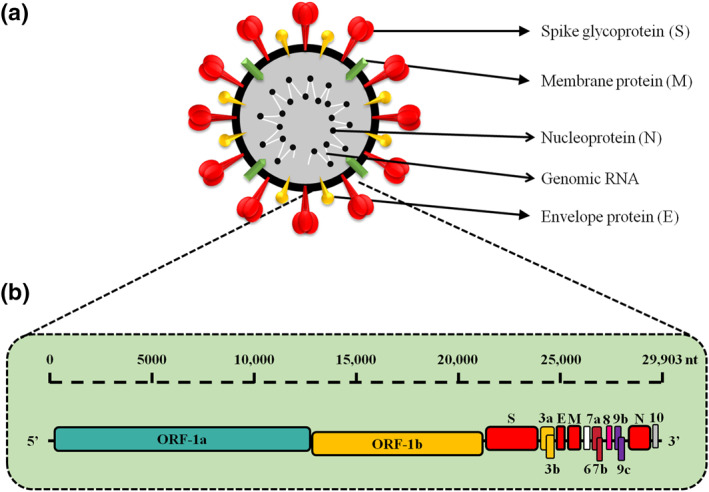 FIGURE 1