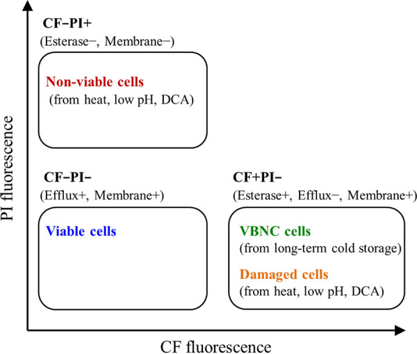 FIG 7