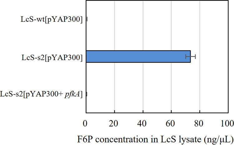 FIG 5