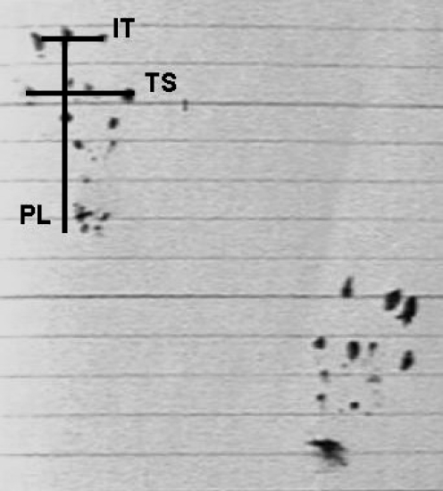 Fig. 2