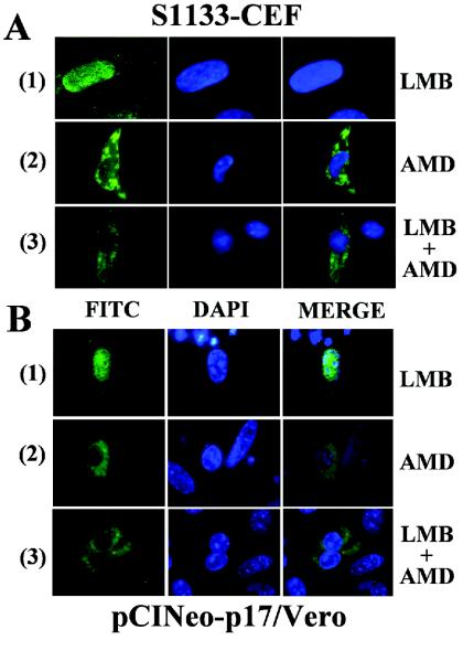 FIG. 9.