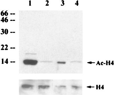 FIG. 10