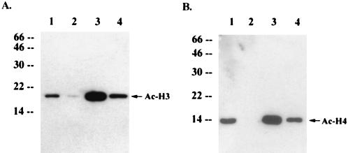 FIG. 7