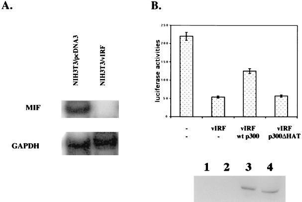 FIG. 11