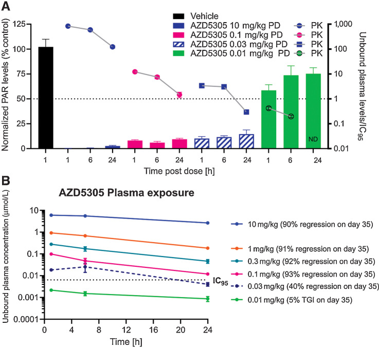 Figure 4. PK/PD/efficacy relationship of AZD5305 in a BRCA1 m TNBC xenograft tumor model. A, PK/PD relationship for AZD5305 in MDA-MB-436 tumor xenograft model. Mice were dosed with indicated dose levels of AZD5305 once daily orally (PO) for 5 days. Plasma and tumors were collected at indicated time after the last dose. Bars depict pharmacodynamics (PD) effects (total PARylation in the tumor lysates) and symbols with lines depict pharmacokinetics (PK) unbound plasma levels of AZD5305 coverage of target level (IC95). ND – compound not detected. B, Unbound plasma levels of AZD5305. Mice from experiments of Fig. 3A were bled at indicated time points after the oral dose of AZD5305 on day 7.