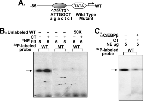 FIGURE 5.