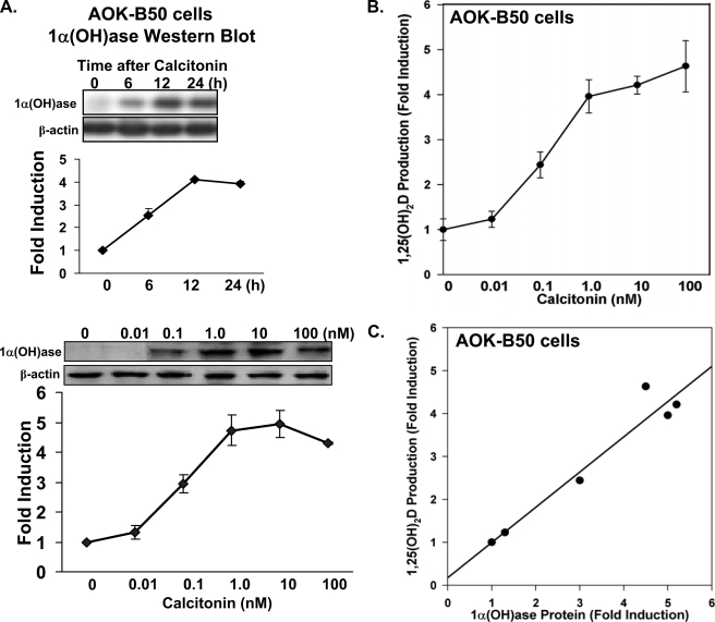 FIGURE 1.