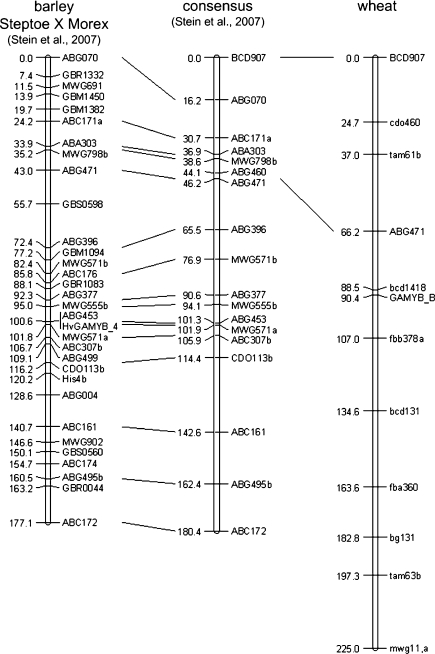 Fig. 6