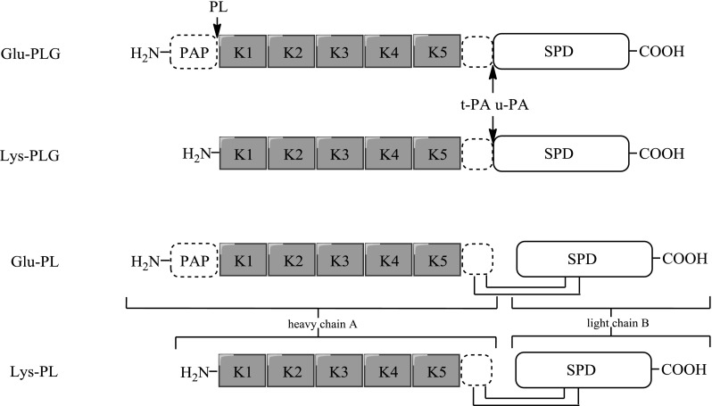 Fig. 1