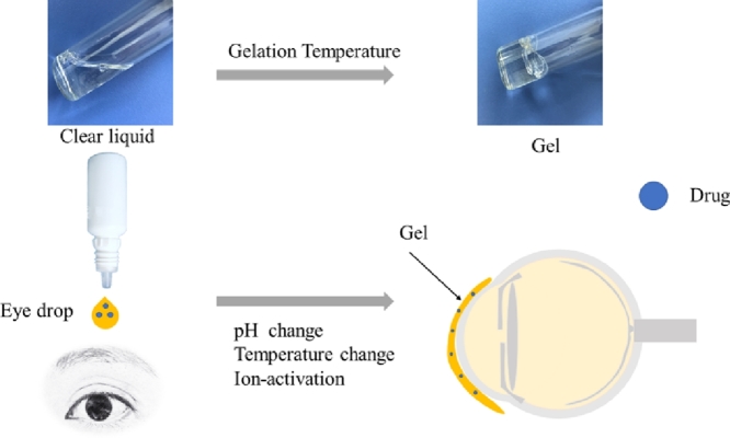 Image, graphical abstract