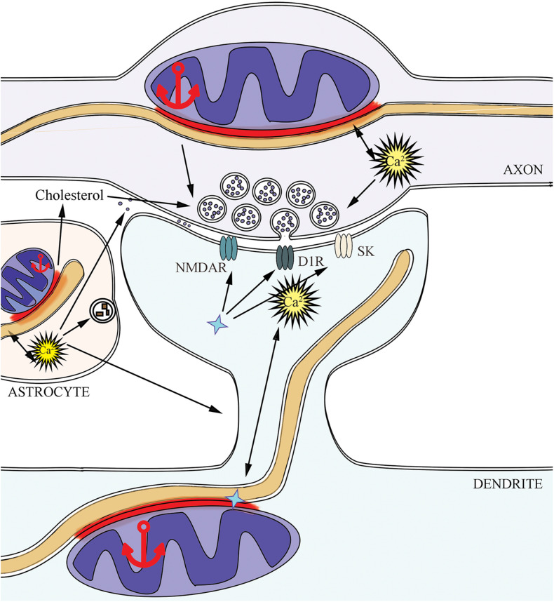 FIGURE 2