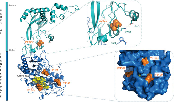 FIG 2