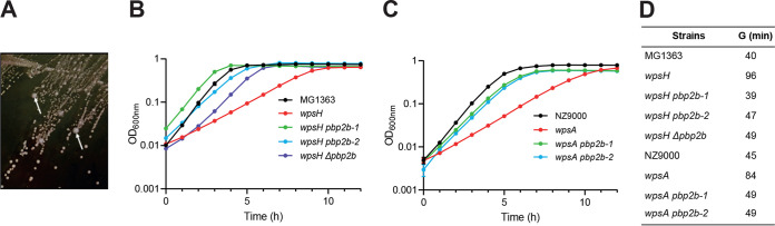 FIG 1