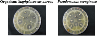 IWJ-12371-FIG-0001-c