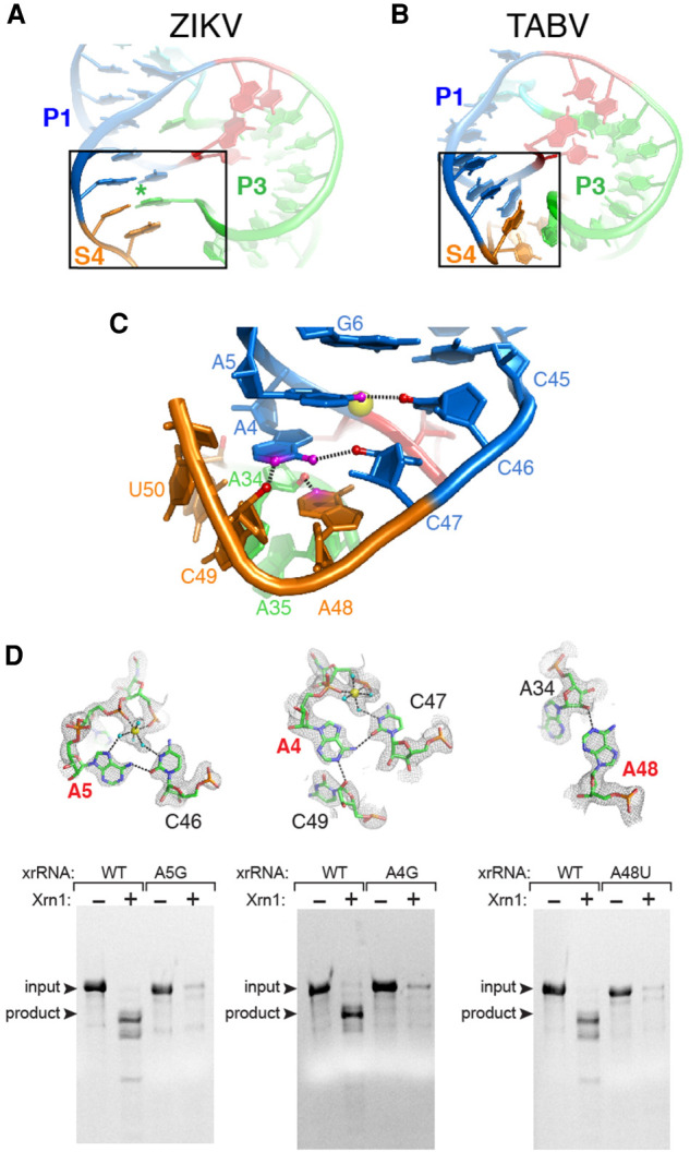 FIGURE 4.