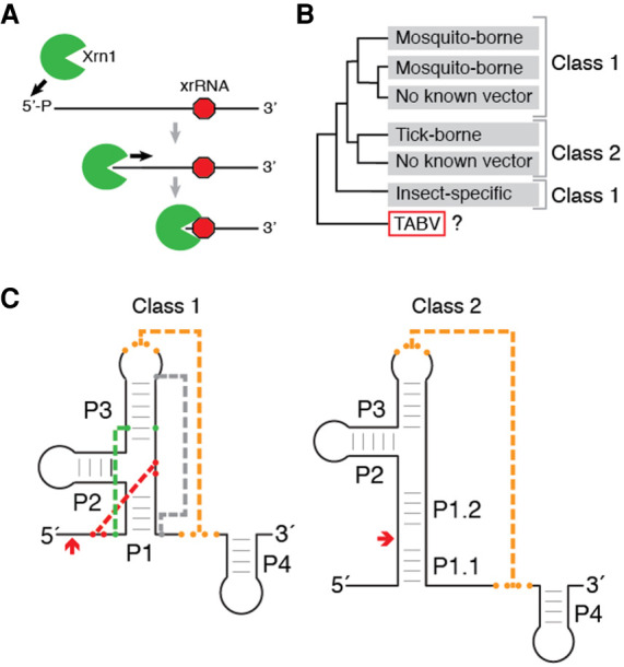 FIGURE 1.