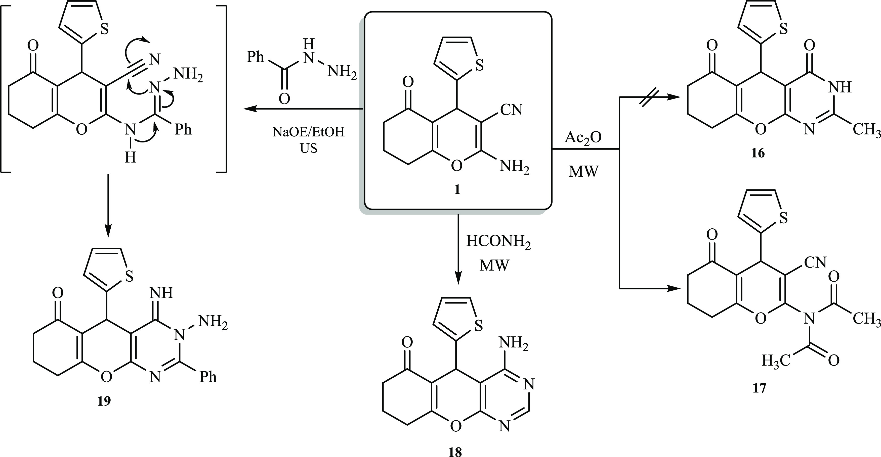 Scheme 3