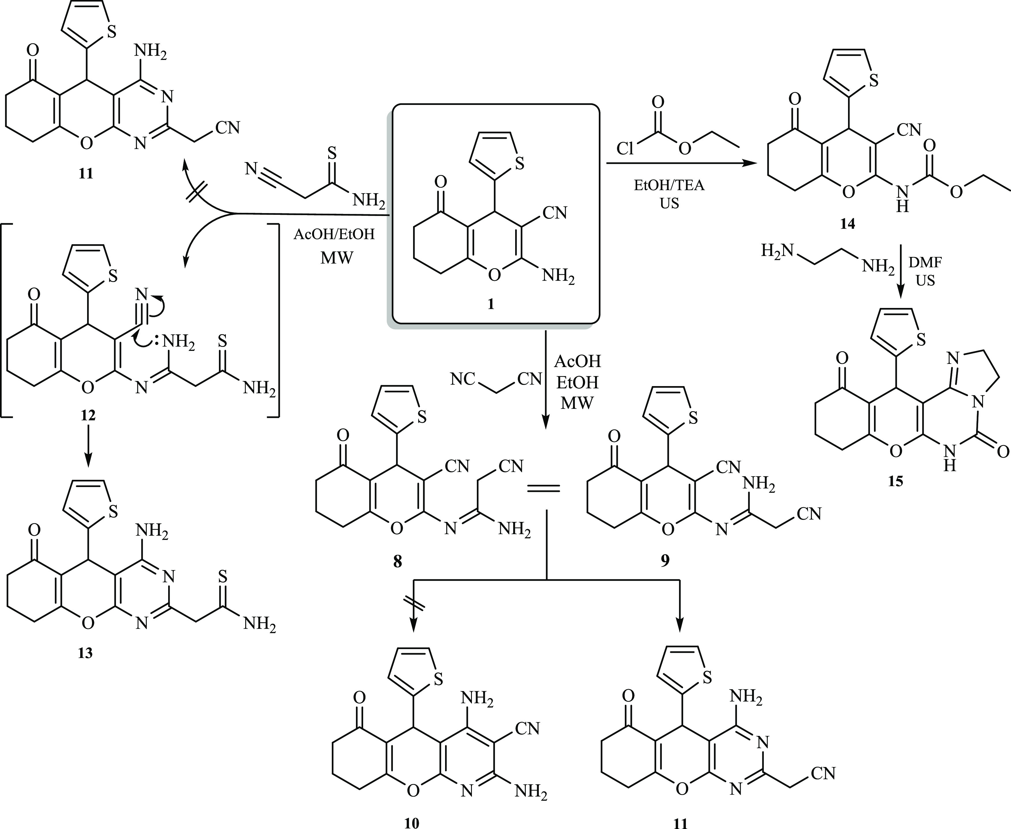 Scheme 2