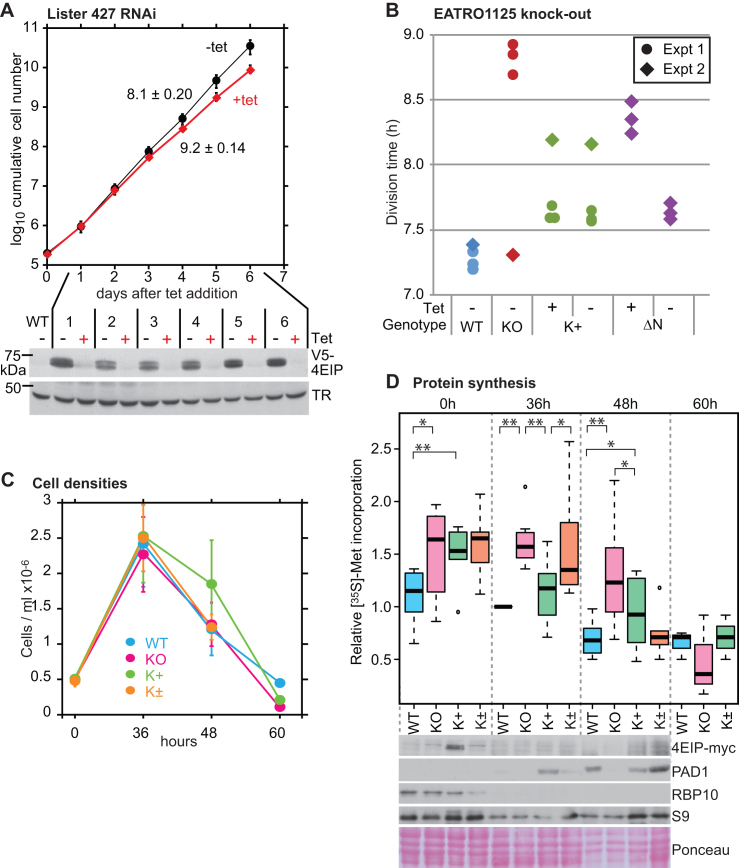 Figure 6.