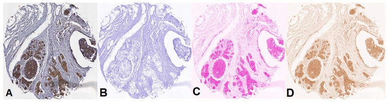 Figure 10