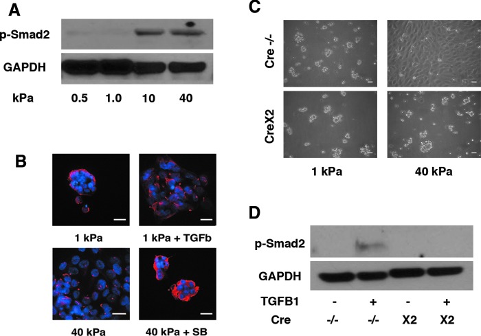 FIG. 6.