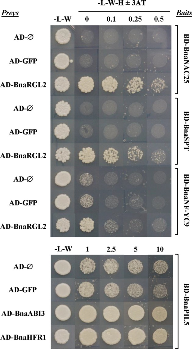 Figure 9