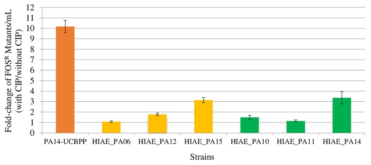 FIGURE 1