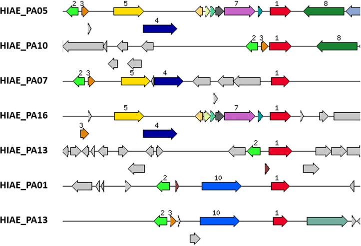 FIGURE 4