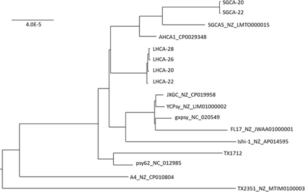 Figure 5