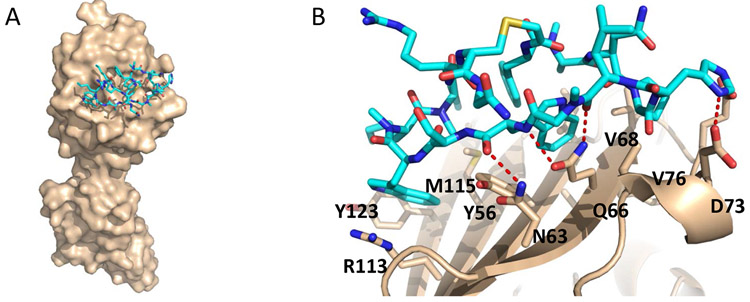 Figure 6.