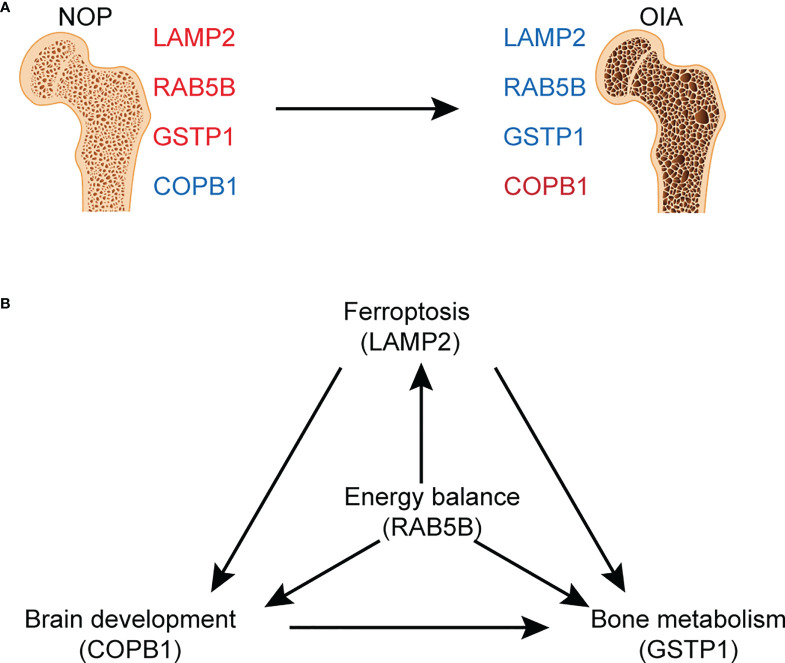 Figure 6