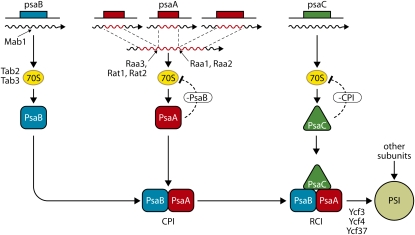 Figure 1.