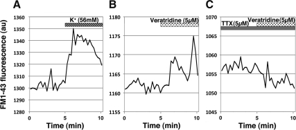 Fig. 3.