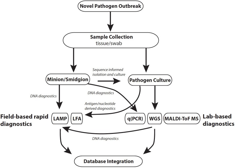 FIGURE 1