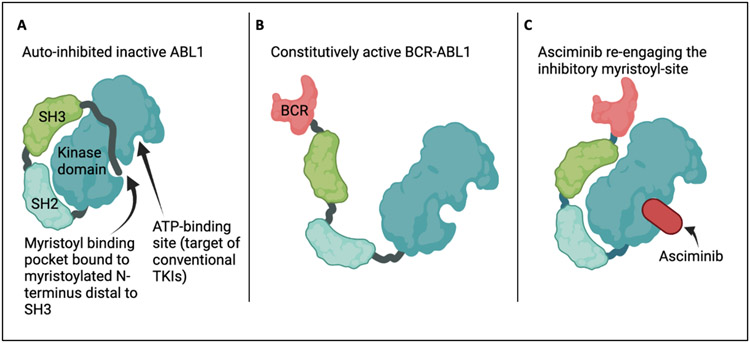 Figure 1: