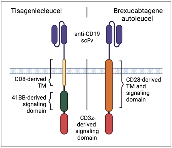 Figure 2: