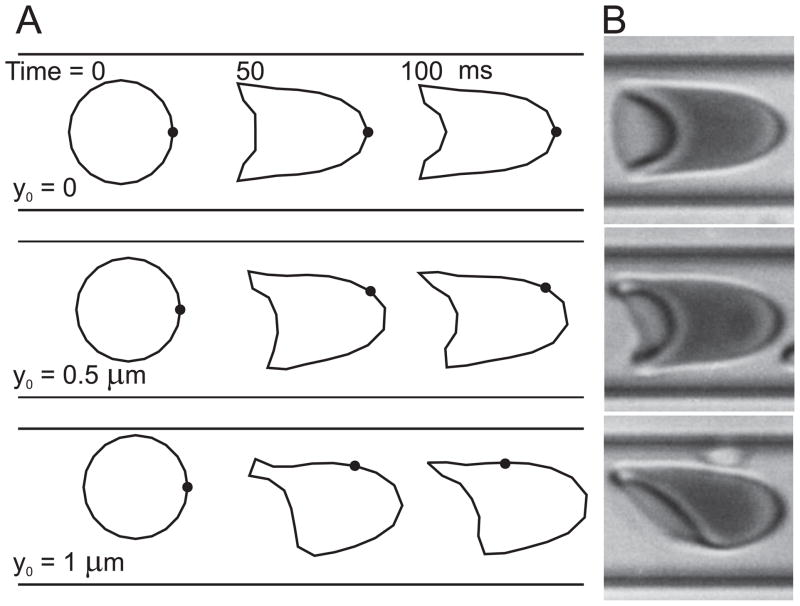 Fig. 5