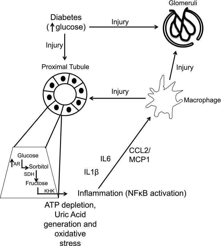 Figure 9.