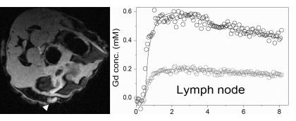 Figure 1b: